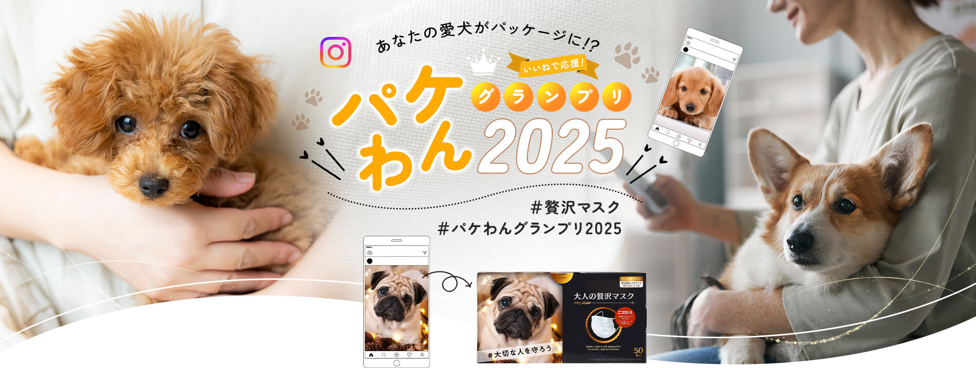 あなたの愛犬がパッケージに！？ パケわんグランプリ2025